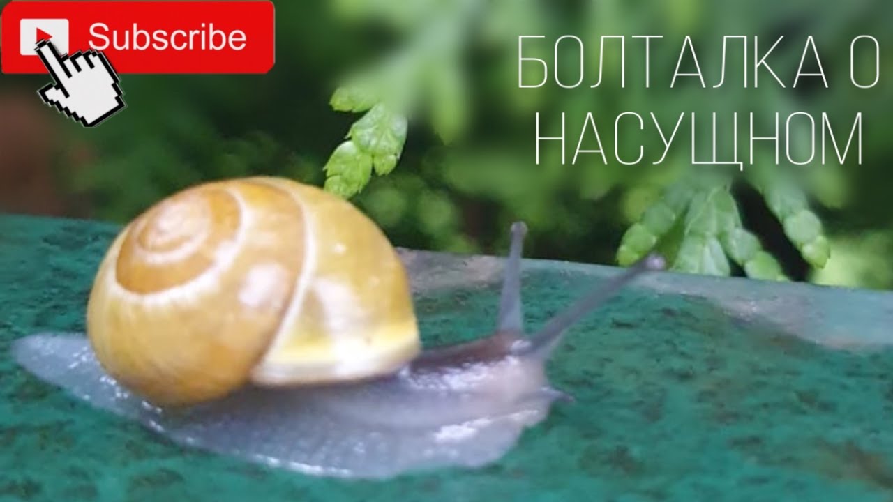 Болталка о курении, покупках и ценах в России ?