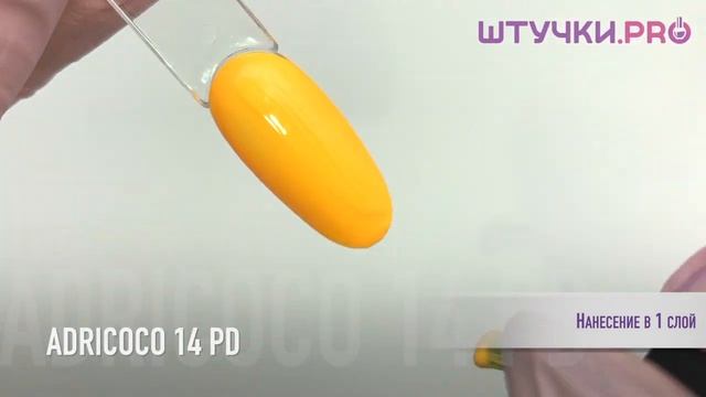 Гель-лак ADRICOCO 14 PD (Адрикоко) | Палитра | ШТУЧКИ.PRO