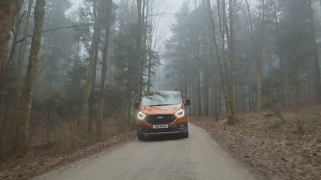 Электрический шаман