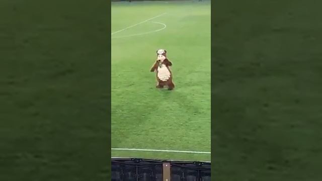 танцор мед-мед.