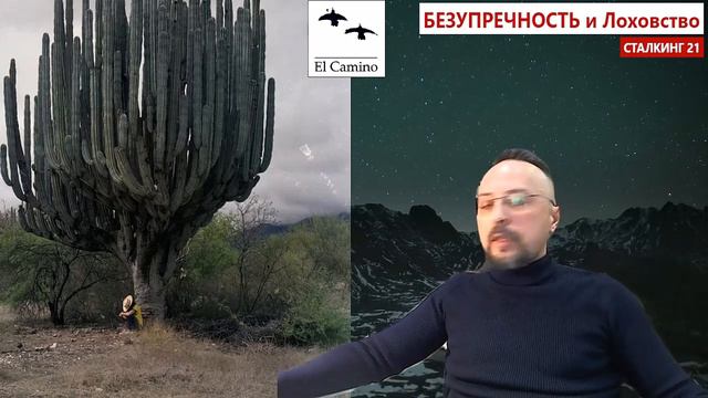 Кастанеда АРЕНДАТОР и шлемы испанских завоевателей