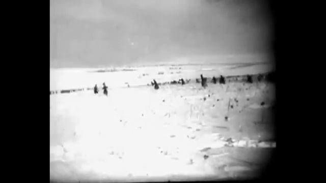 Туймазинский Вестник