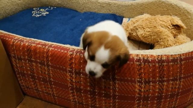 Усердный ребёнок!