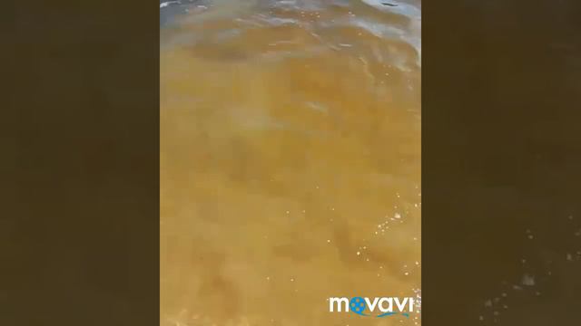 Da1eaecbd27612ba695a55bab69dcfc3