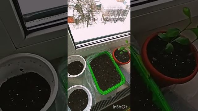 4dc4c16e4cda3b0b593695d889ab0e8c