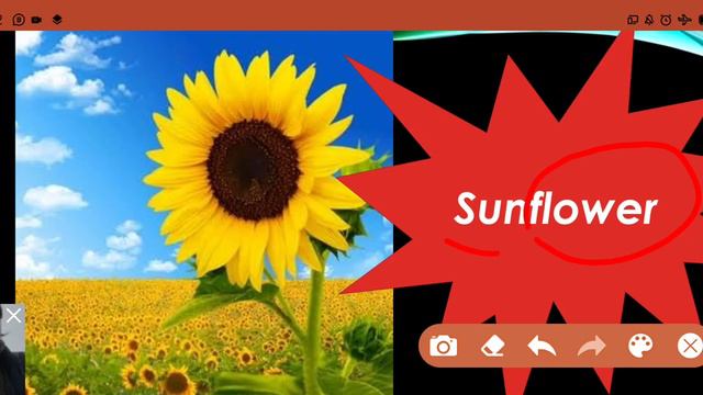 9fd8a3bb2933b9d1374ecc1092f6bab3