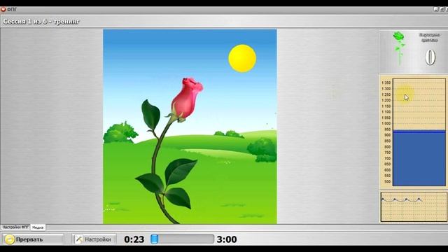 Урок 4. Типы обследования  Сеанс биоуправления