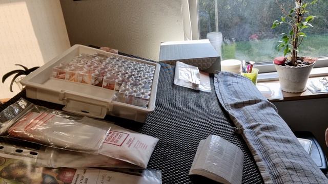 Camellia Lady  - Færdig