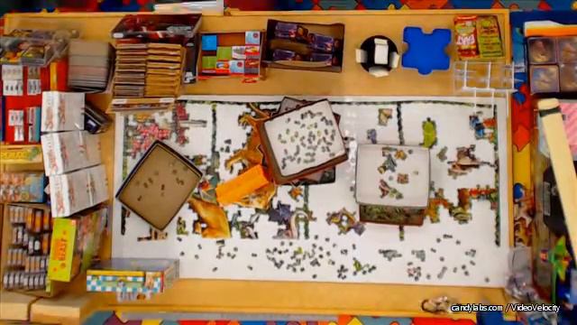 Day 586 January 6, 2016 – “Wildlife” 33600 pc World’s Largest Jigsaw Puzzle