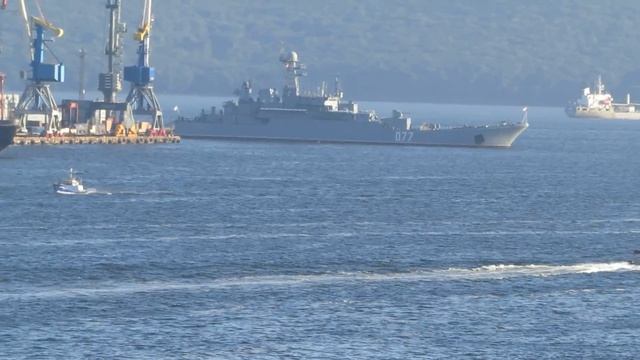 Canon PowerShot SX50 HS Владивосток 18.08.2017