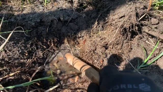 ŚLIMAKI? EFEKTY PIWNEJ PUŁAPKI. Ślimaki Pułapka Piwo Efekty, Snails In My Garden