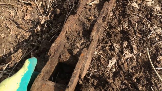 Коп вільної години на прадавній стоянці.