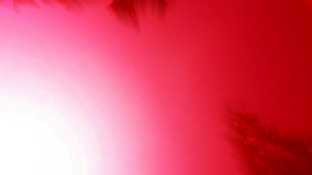 S.T.A.L.K.E.R. забытые легенды часть вторая