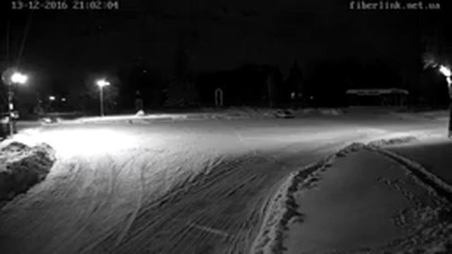 Онлайн камера Міський Парк м. Гадяч