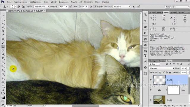 Быстрая коррекция постороннего оттенка в фотошопе