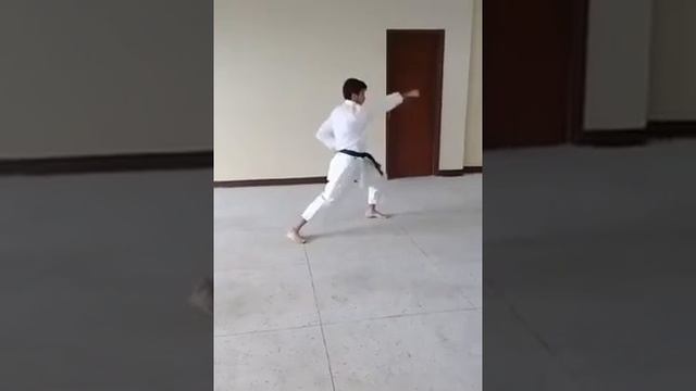 Empi Kata - Slow Motion