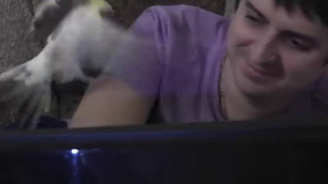 ЯША  ласкается. .mpg