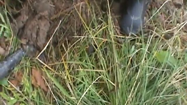 Как найти металл с помощью металлоискателя.