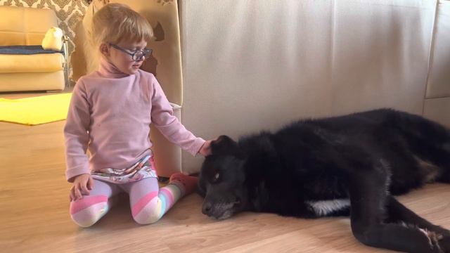 ‼️Волкособ глазами ребёнка. ‼️Вся правда с первого дубля, без монтажа ‼️