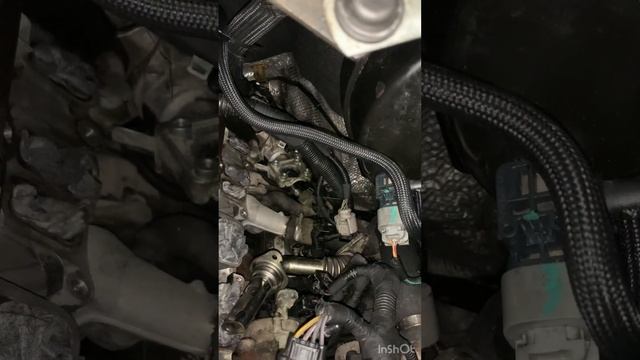 Покорение Асфальта