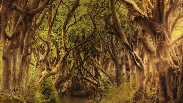 Music For Sleeping. Музыка для сна. Мелодия для реллакса. Музыка для расслабления. Музыка для йоги.