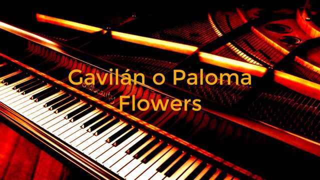 Gavilán O Paloma (José José) Cover | Flowers