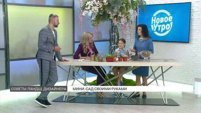 Мастер-класс: мини-сад своими руками