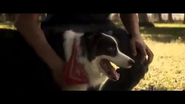 Любовные новеллы