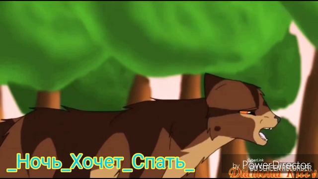 -БЕЛКА,ЕЖЕВИКА 