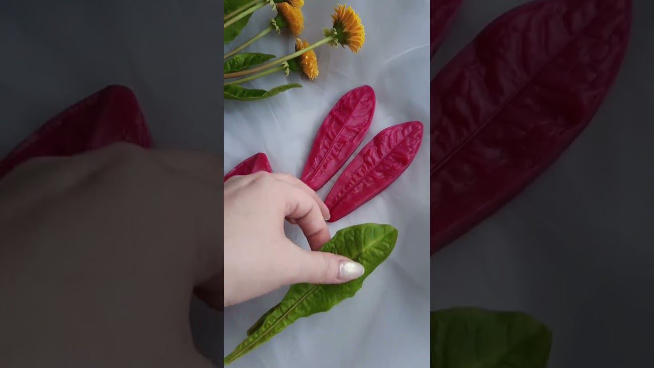 F640dfedc7bd880c83e2e242feff6645