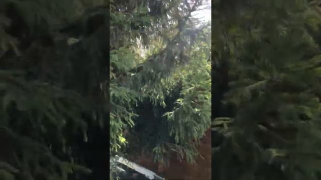 Строительство квадро бани под ключ