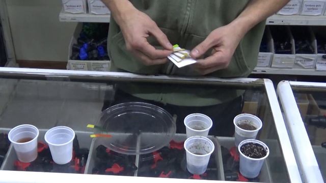 PH ТЕСТ ЛЕНТИ за измерване киселиността на растителна среда