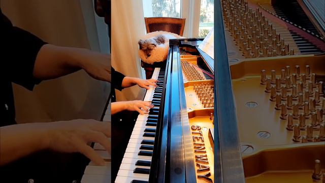 'Ave Maria' Aria By Caccini And Vavilov (arr. Kabasawa)