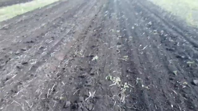 Предпосевная обработки почвы.Часть 1 |трактор Т-150|Башкортостан|