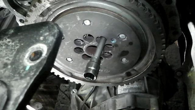 Грибные впечатления: эмоции и приключения