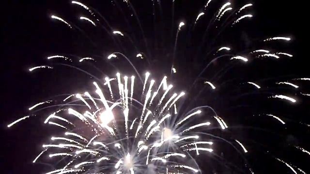 Day Of  Solnechnogorsk District - День солнечногорского района