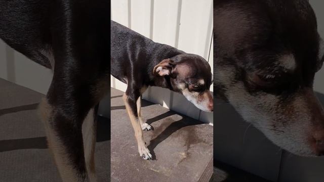 58b1169d223f30c98c93fd49250e75ad