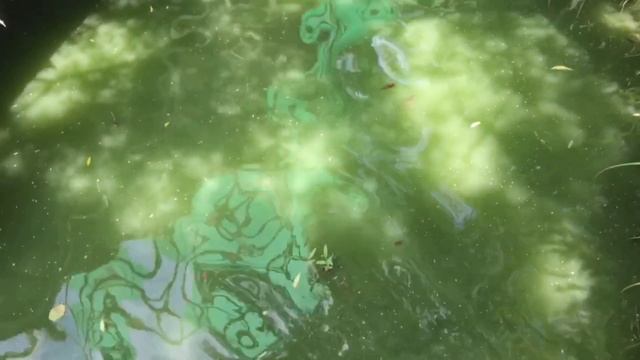 Секреты Творческого Вдохновения