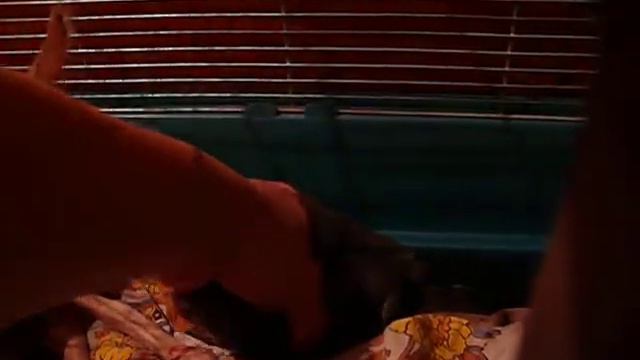 Ec48cff15821f4d48c59849651afd905