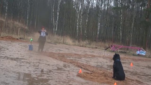 Зима на Ветеранов 2013