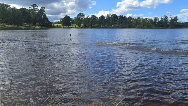 Joysway Rocket V2 - RC BOAT (aka Atomik Barbwire XL 2)