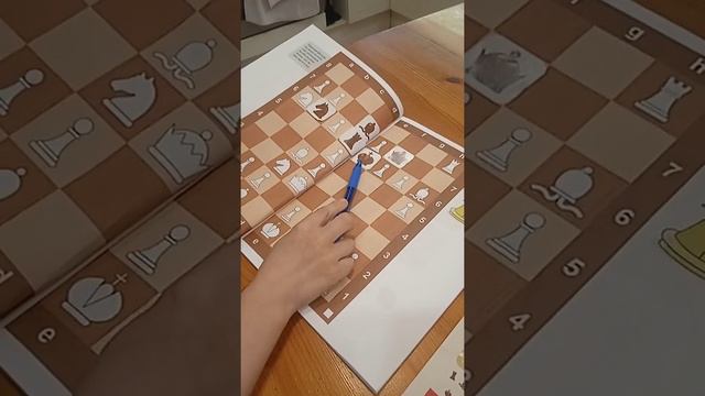 Уроки шахмат на Stason TV. Серия N 1.