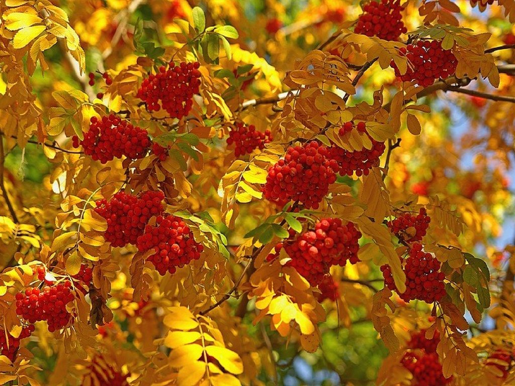 44da54fc32e189e8af75dc21ddd8a559