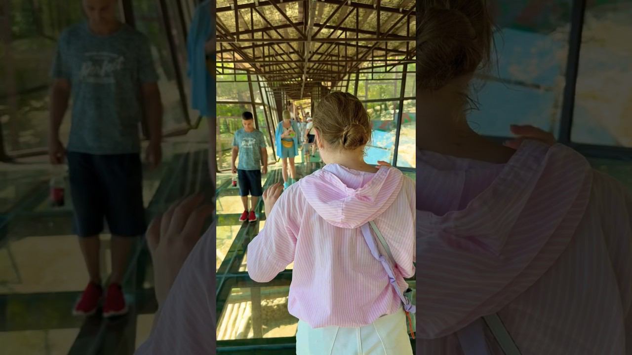 #зоопарк #zoo #топ #рек #рекомендации #tiktok #travel #trend #video #shorts #like #тренды #мечта