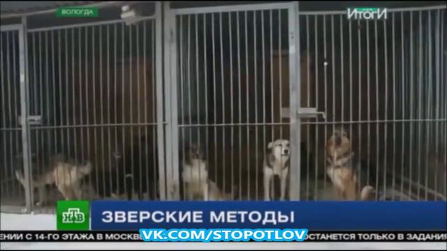 Зверские методы
