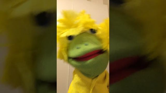 Md. Abrar Hossain Alif