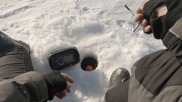 Ловля сига на голую блесну без подсадки. 7 сигов с одной лунки! Рыбалка в Карелии 2021