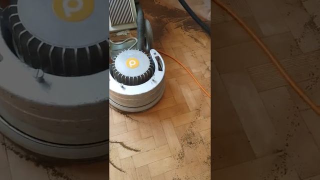 Pine Parquet And The Pallmann Spider