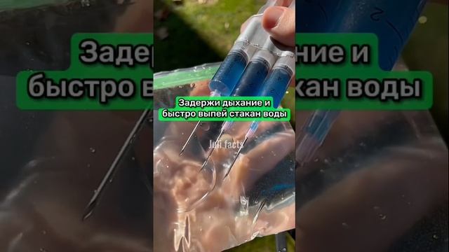 Мастерство и Успех