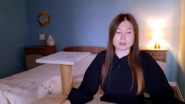 Рейтинг кормов для кошек 2023/Список кормов